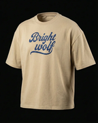 Beige Small Embroidery Oversized  Tshirt