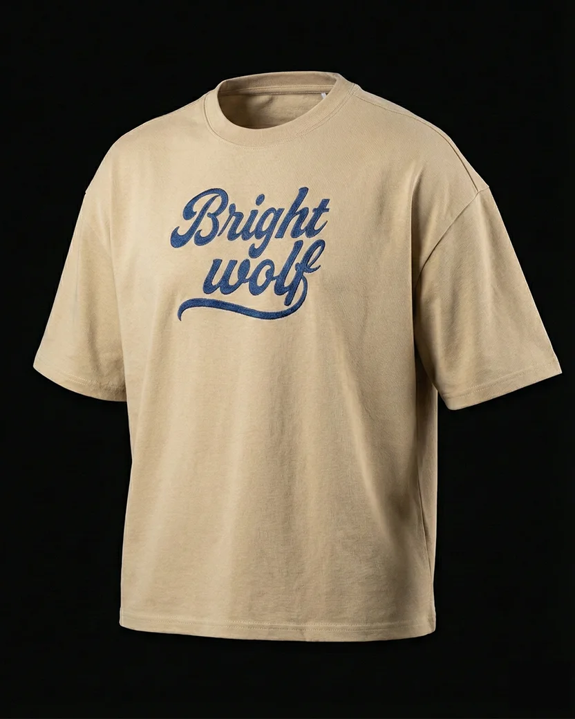 Beige Small Embroidery Oversized  Tshirt