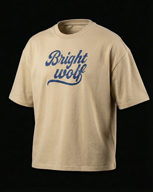 Beige Small Embroidery Oversized  Tshirt