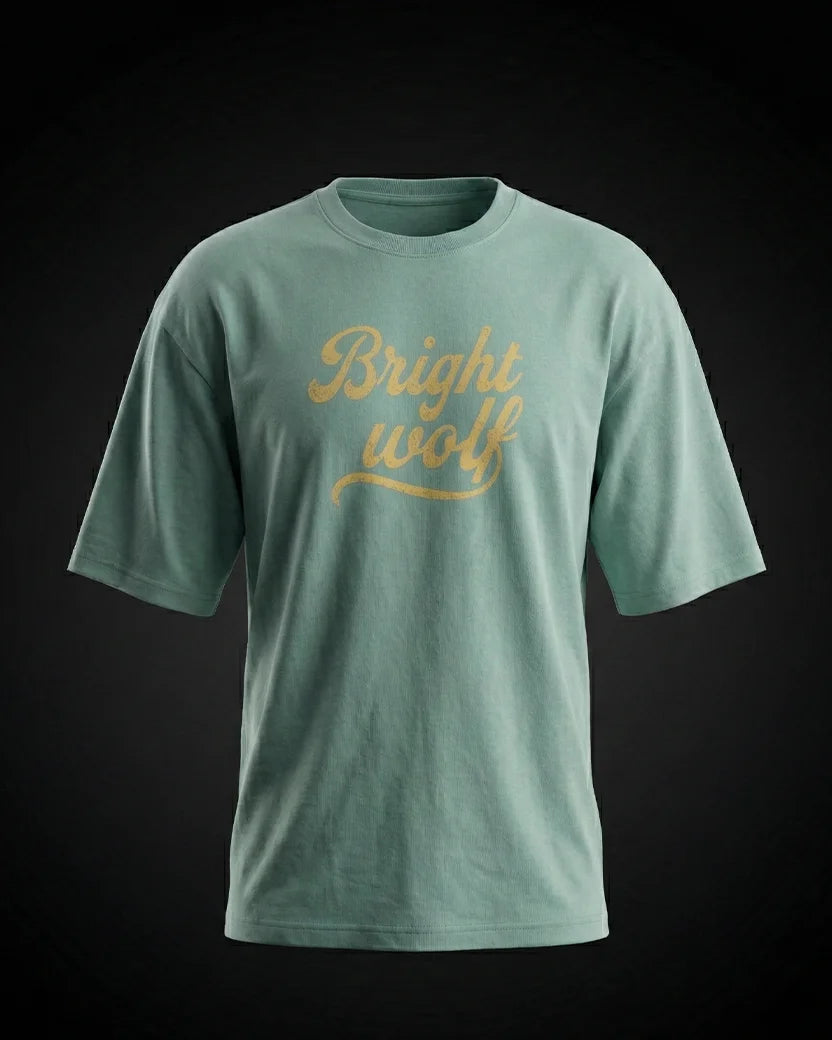 Sea Green small Embroidery Oversized  Tshirt